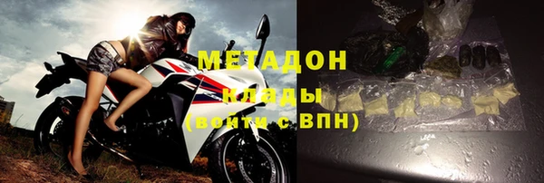 хмурый Аркадак