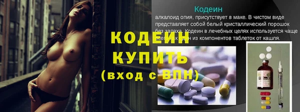 хмурый Аркадак