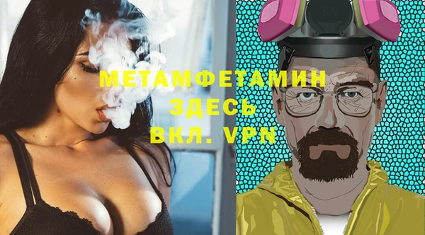 хмурый Аркадак