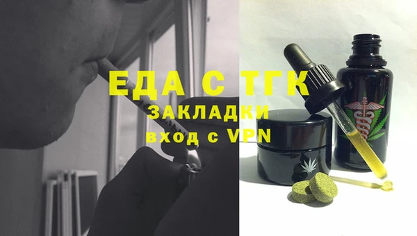 хмурый Аркадак