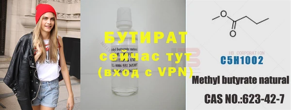 хмурый Аркадак