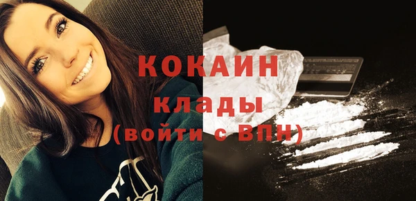 хмурый Аркадак