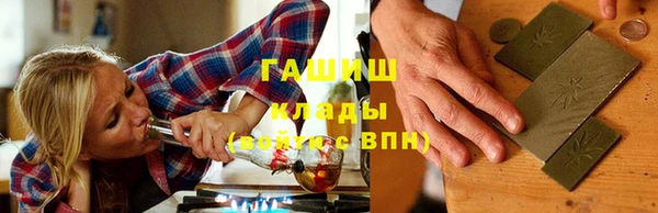 хмурый Аркадак