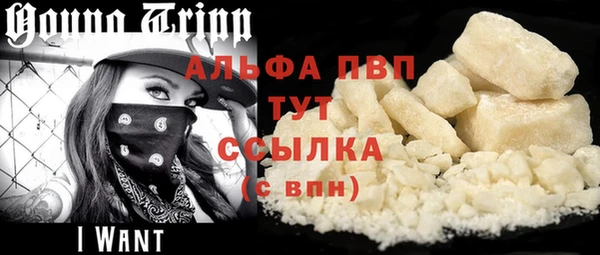 хмурый Аркадак