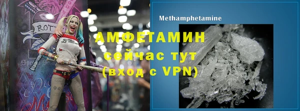 хмурый Аркадак