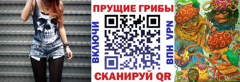 наркотики  Ахтубинск  ссылка на мегу зеркало  Галлюциногенные грибы Cubensis 